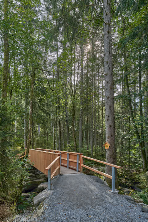 Gemeinde Waldkirchen Landkreis Freyung-Grafenau Saußbachklamm (Dirschl Johann) Deutschland FRG